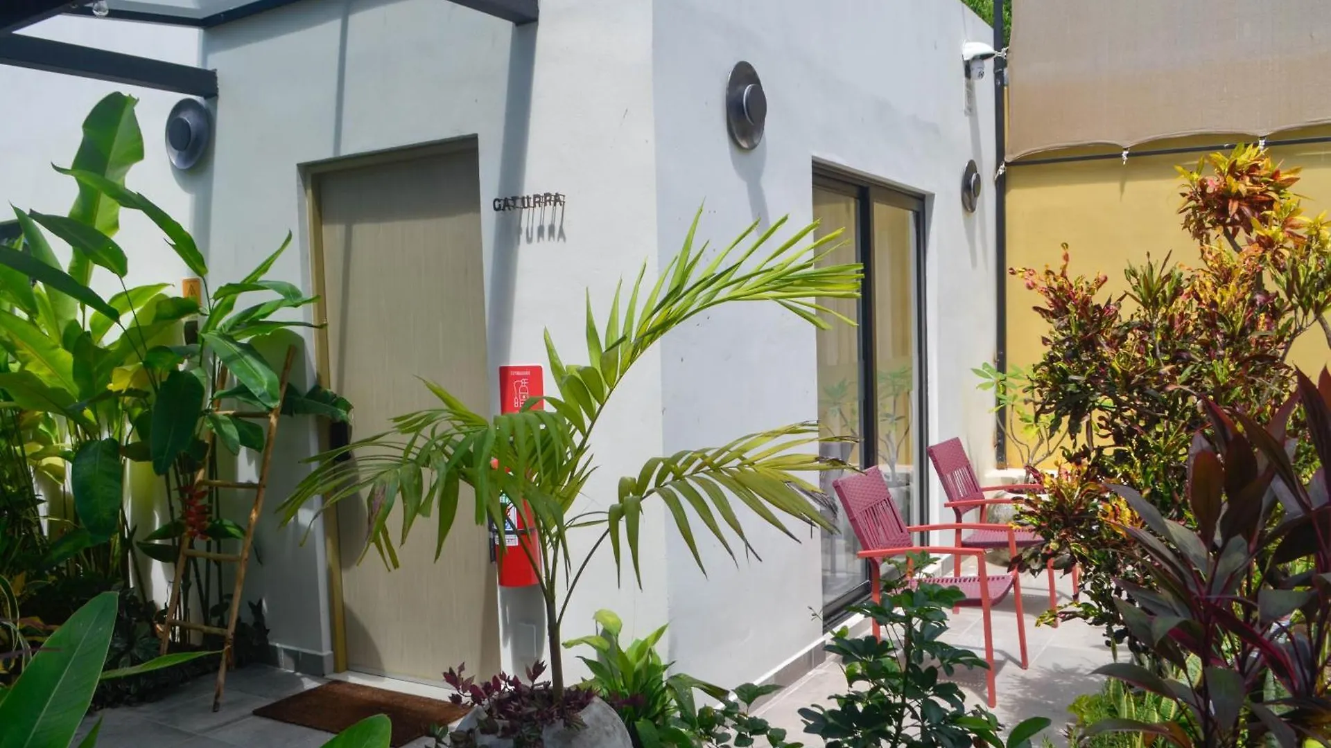 מלון פלאייה דל כרמן Parcela7 Cafe-Hotel