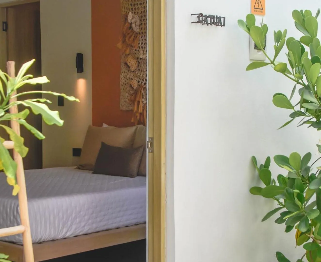 פלאייה דל כרמן Parcela7 Cafe-Hotel