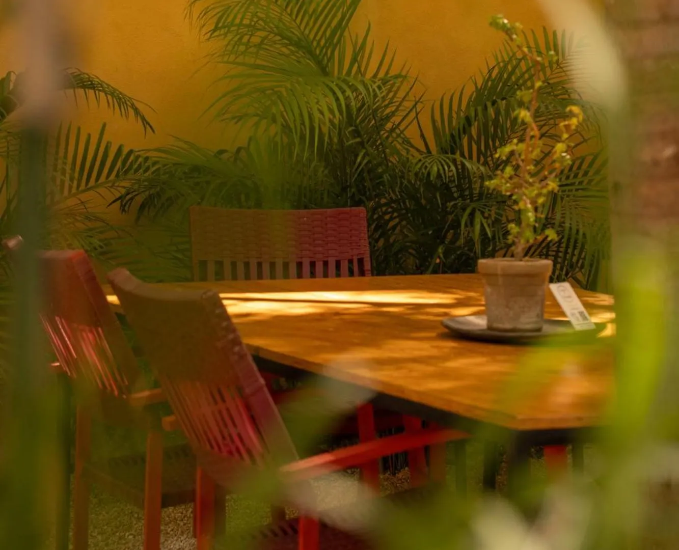 Parcela7 Cafe-Hotel Playa del Carmen Hotel
